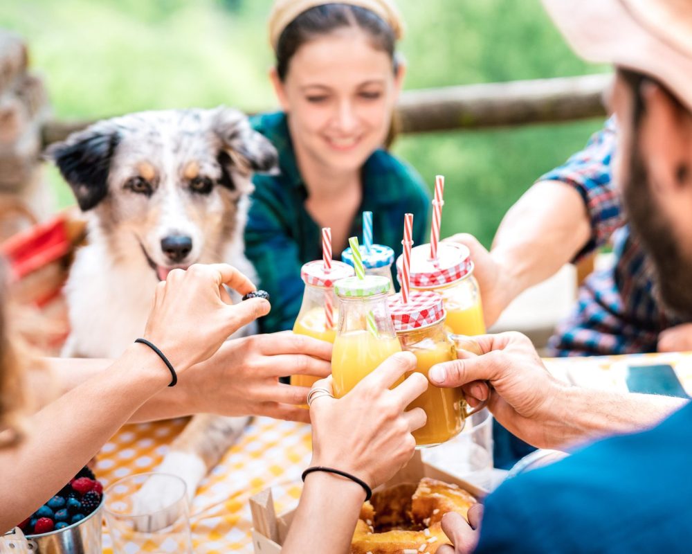 Happy friends toasting healthy orange fruit juice at countryside picnic - Friendship concept with alternative people having fun together with family dog on afternoon relax time - Vivid bright filter